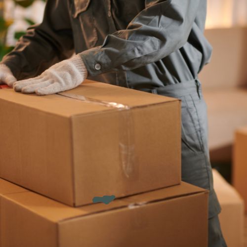 Packing Box